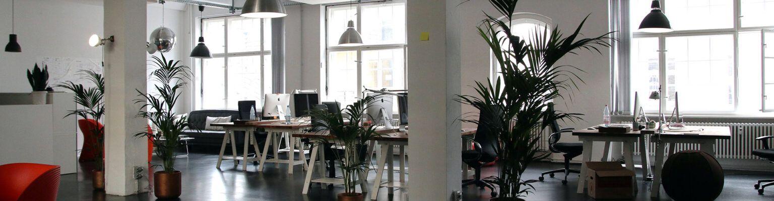 Progressive, Moderate or Traditional: Which Office Layout is Best for You?